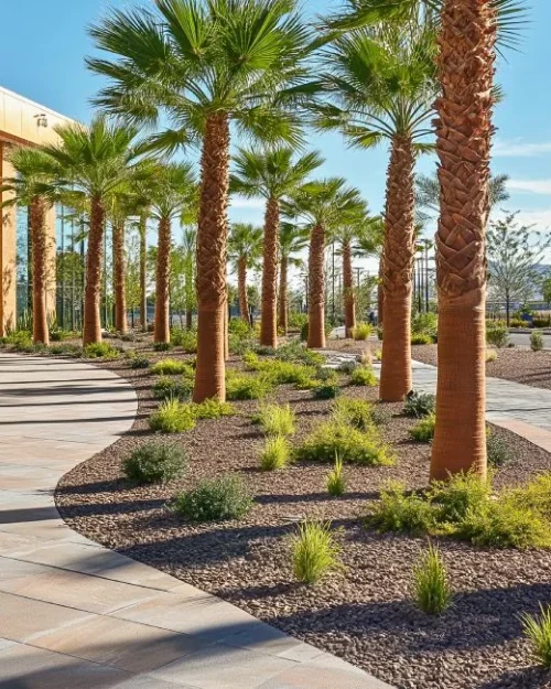 commercial landscaping services​